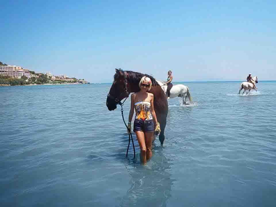 Woman guiding a horse through shallow coastal water during an outdoor experience