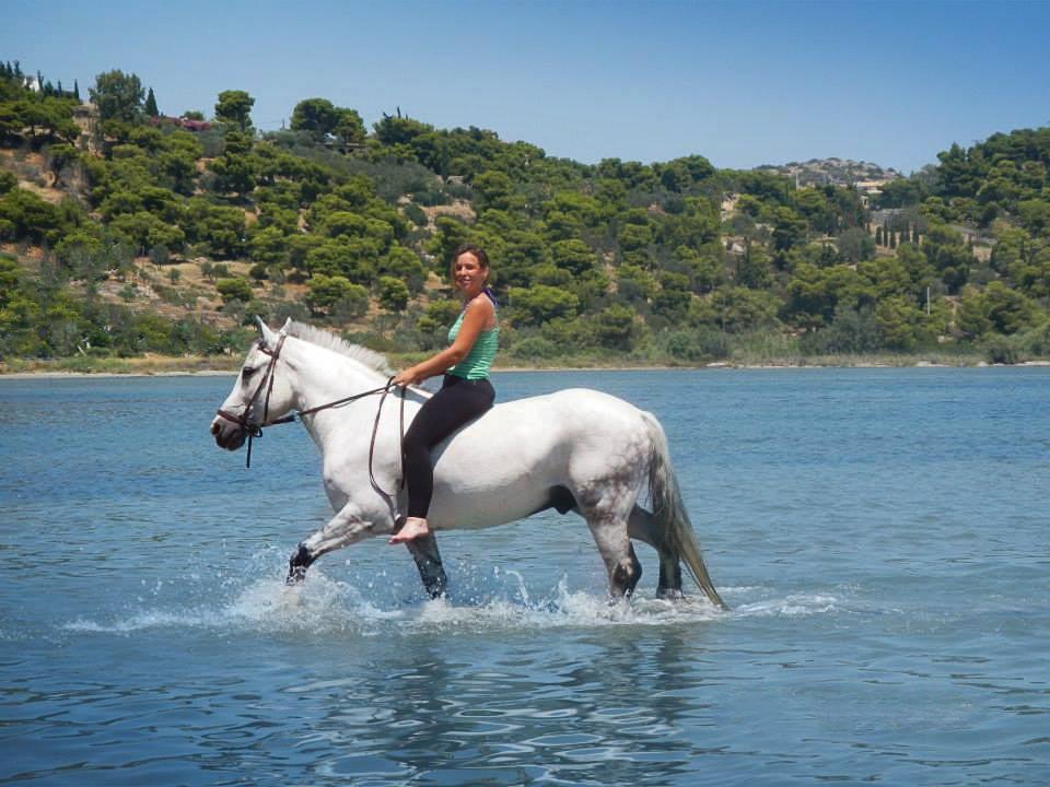 Woman riding a white horse through shallow coastal water