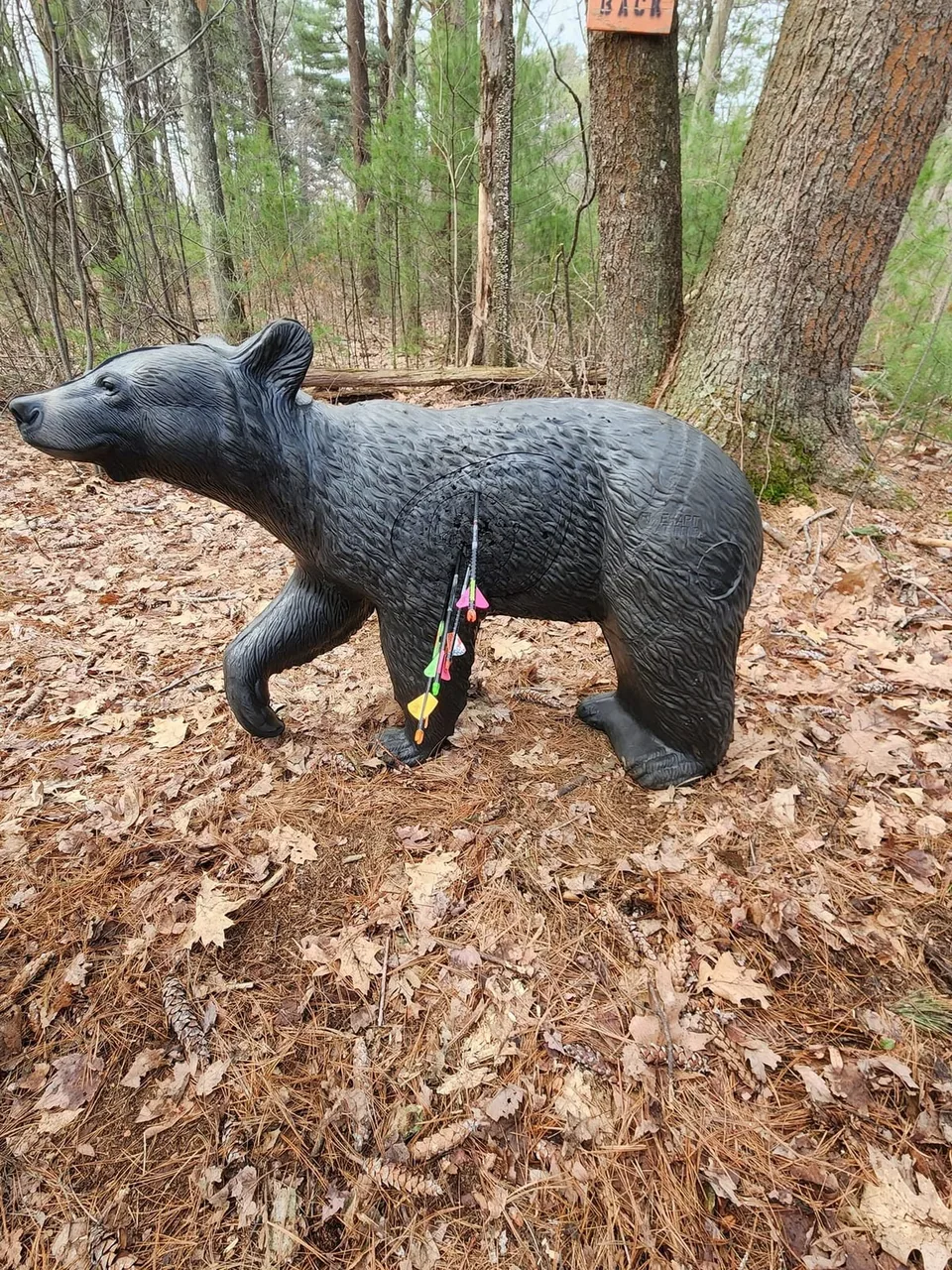 Black bear target with grouped arrows Foam black bear 3D archery target with arrows in its scoring area