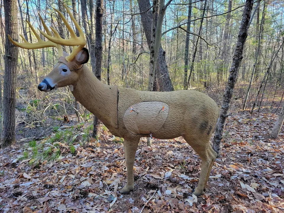 Deer target and marked scoring area Foam 3D deer target with arrows in its scoring area between woodland trees