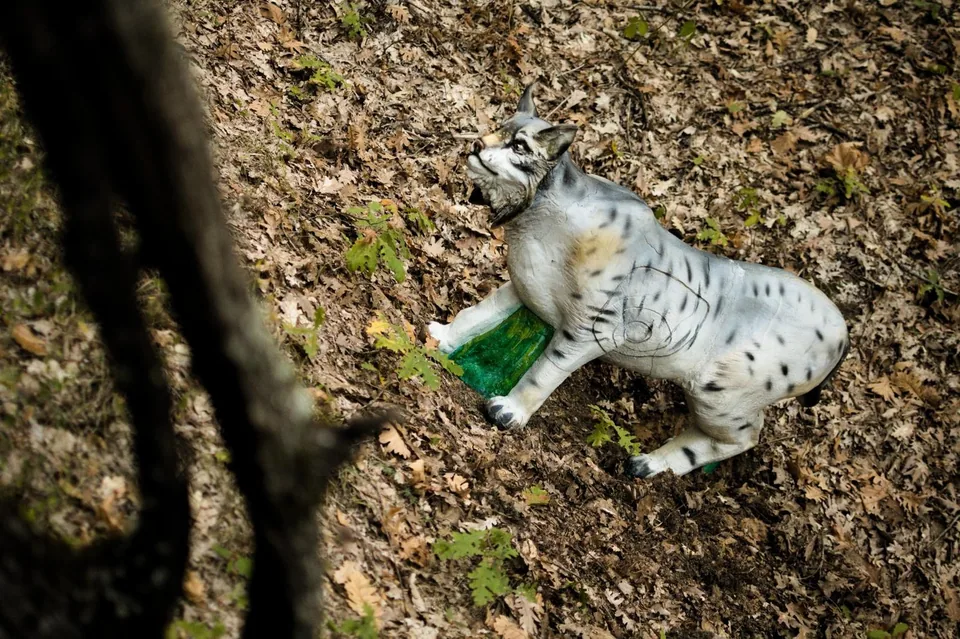 Spotted wild cat-shaped 3D archery target in a woodland course, woodland setting
