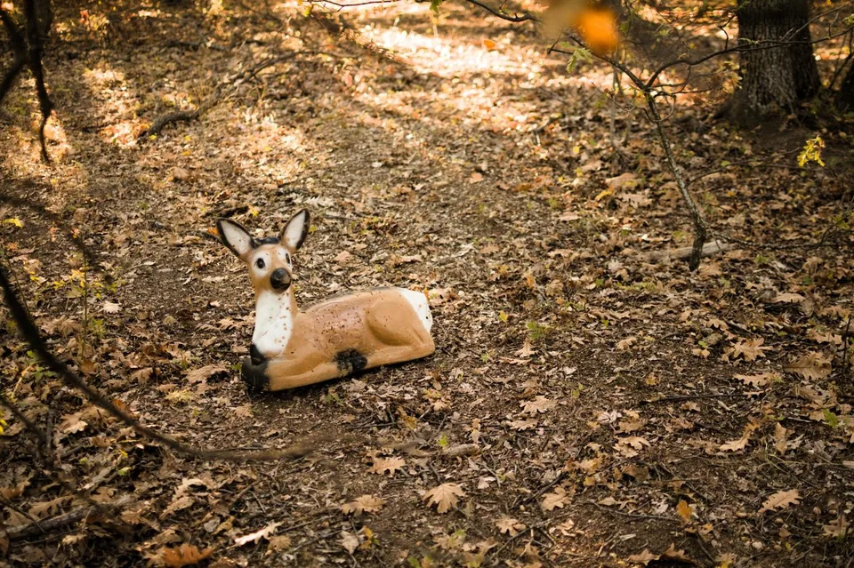 Resting deer-shaped 3D archery target in a woodland course, woodland setting