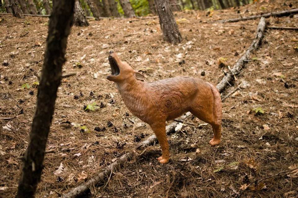 Standing fox-shaped 3D archery target in a woodland course, detail view