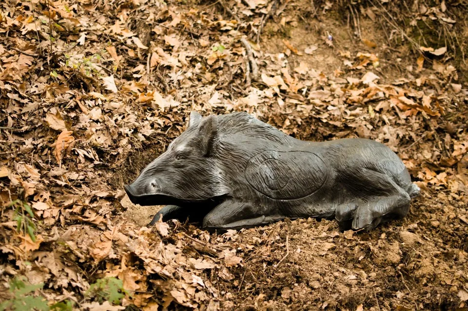 Resting wild boar-shaped 3D archery target in a woodland course, detail view