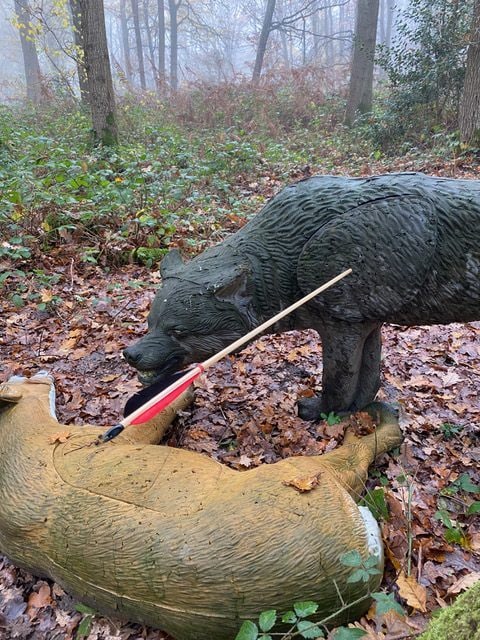 Bear and deer targets on the forest floor Foam 3D black bear and deer targets with arrows at a woodland archery course