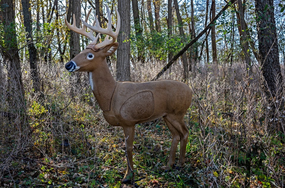 Standing deer target in the woods Foam 3D deer target standing between trees and dry woodland vegetation