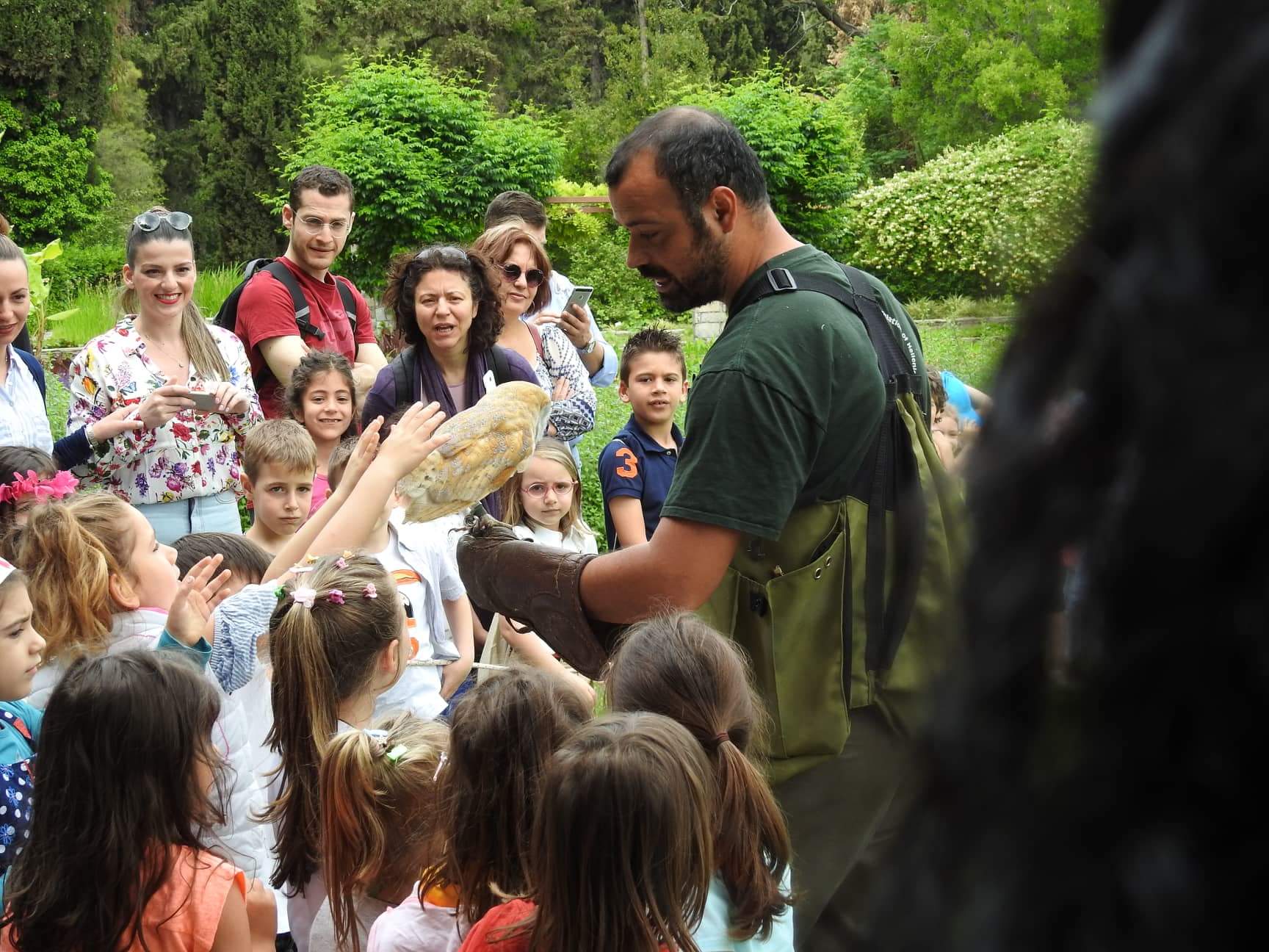 Children meeting a barn owl held safely by an experienced handler