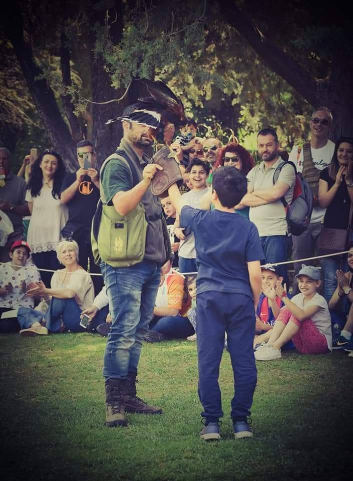 Child participating in a supervised falconry encounter before an audience