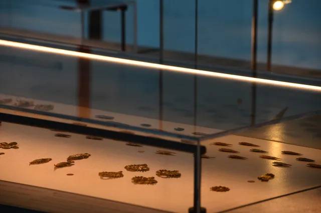 Numerous small decorated gold pieces arranged across an illuminated museum display.