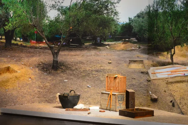 Archaeological excavation setting among olive trees, with tools and crates in the foreground.