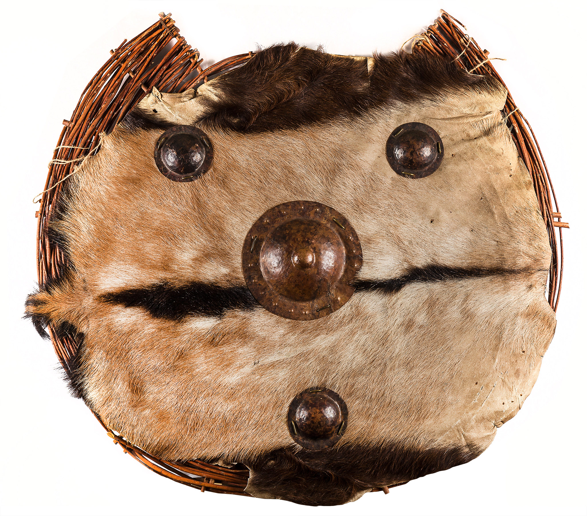 Historically Informed Shields, documented Archaeopolis Objects archive view 006
