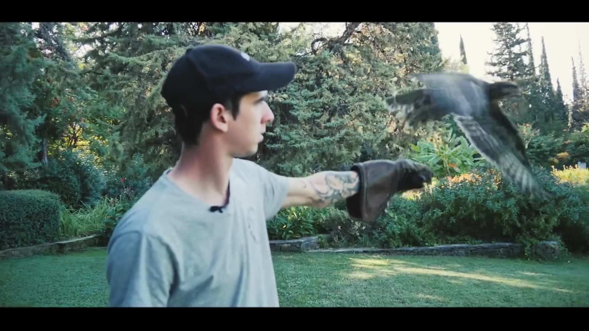 Bird handling demonstration during the Ubisoft programme