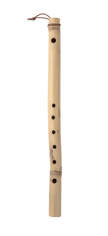 Single pale cane transverse flute with an upper blowing hole and a row of finger holes